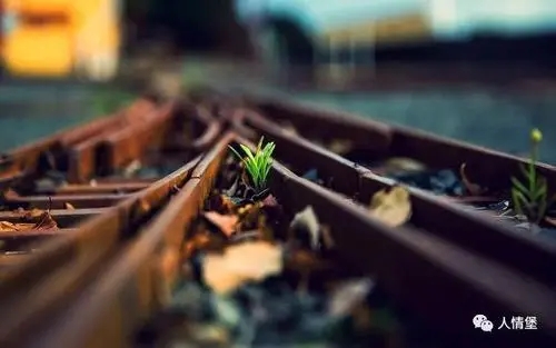 生活语录文案简短