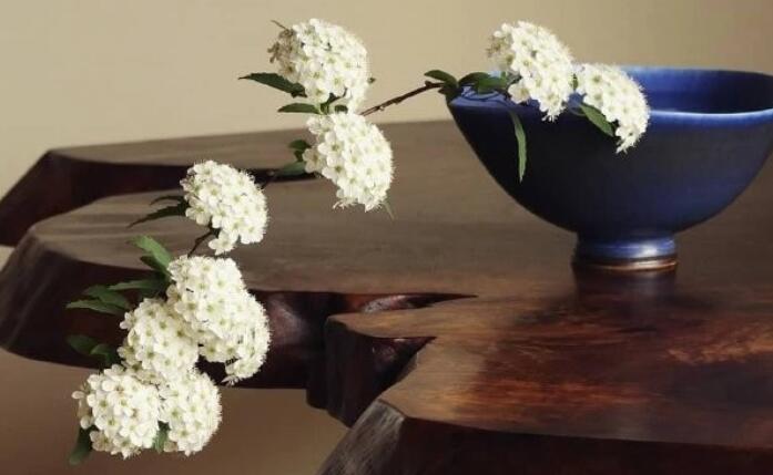 好词好句十字以内唯美句子文案