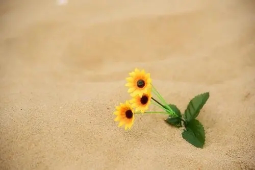 描写生活很美好的句子文案