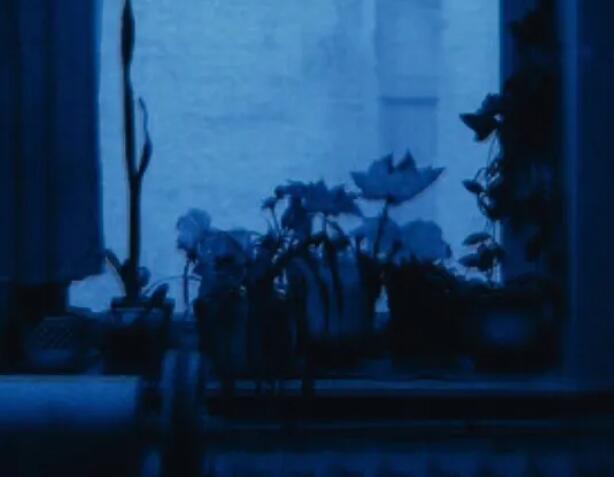 深夜情感语录文案