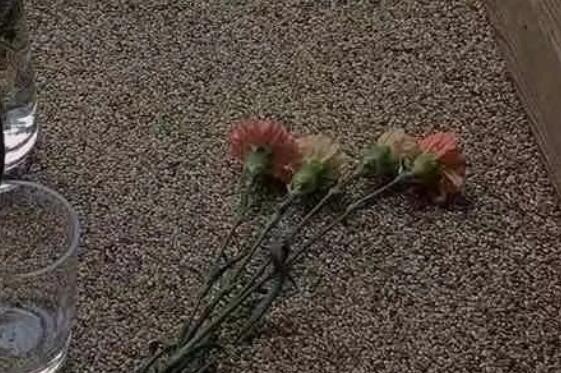 我不物质但我很现实的句子文案