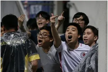 骂老板的话越毒越好