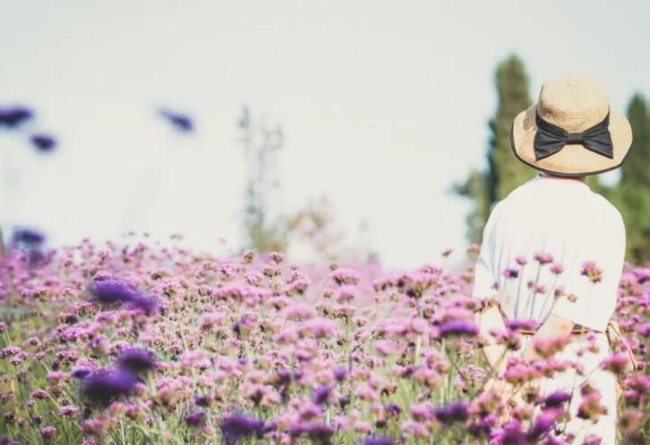 感情悲伤心碎的诗句文案