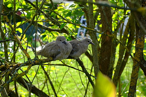 女人最想听的暧昧情话文案