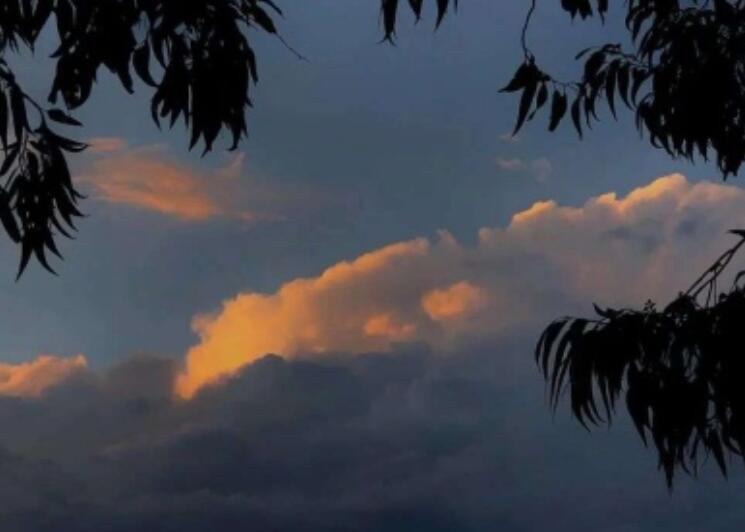 蚀骨危情经典语录文案摘抄