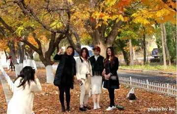 姐妹陪伴的句子文案