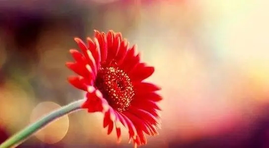 表示乐观心态的句子文案