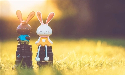 表达自己愿望的一句话简短