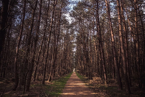爱情虚假的句子文案