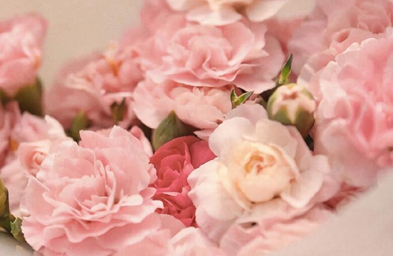 心灵鸡汤励志语录文案短句