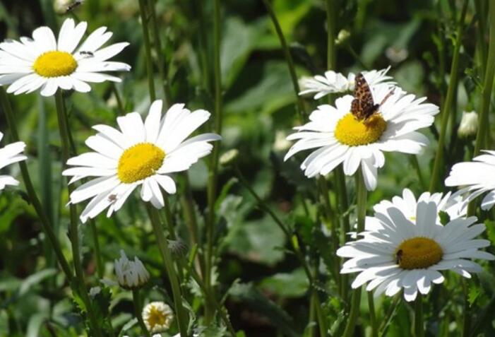 今日反省自己一句话