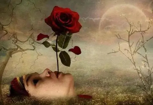 为工作努力正能量的句子文案