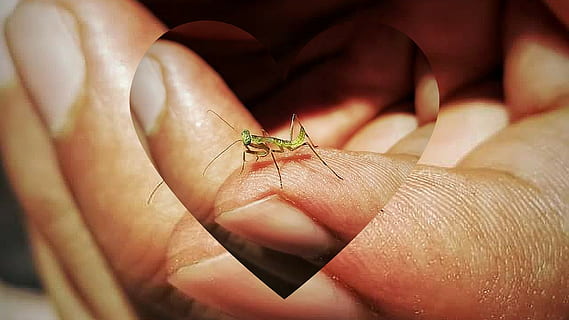 被老公嫌弃而伤的句子文案