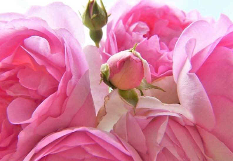 2024祝自己幸福的句子文案