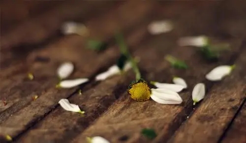 不懂珍惜失去后悔的句子文案