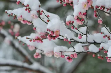 冬字古诗词飞花令