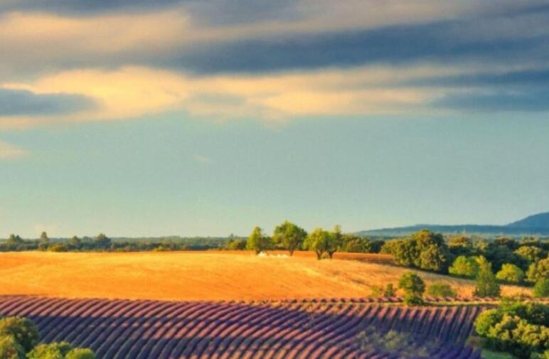 关于文明的名言