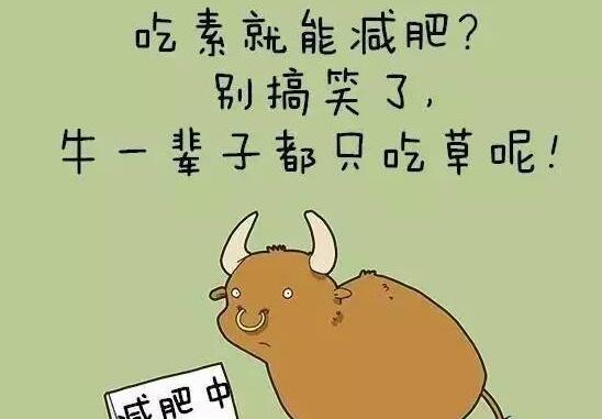 减肥幽默语录文案简短