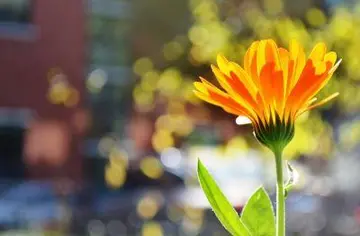 关于方向的句子文案经典