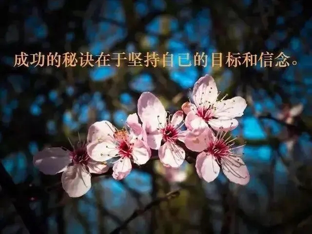 收获的正能量的句子文案