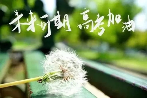 高考励志语录文案