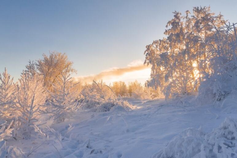 冬天雪景的优美句子文案