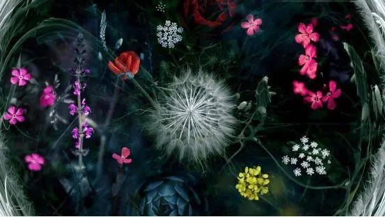 女生想要的安全感句子文案