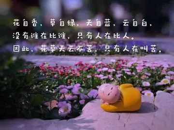 微信每日心语签