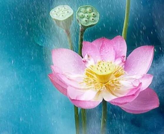 人生感悟致自己的说说文案