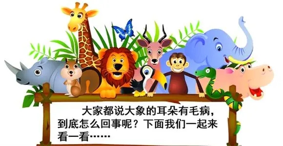 描写耳朵的一段话