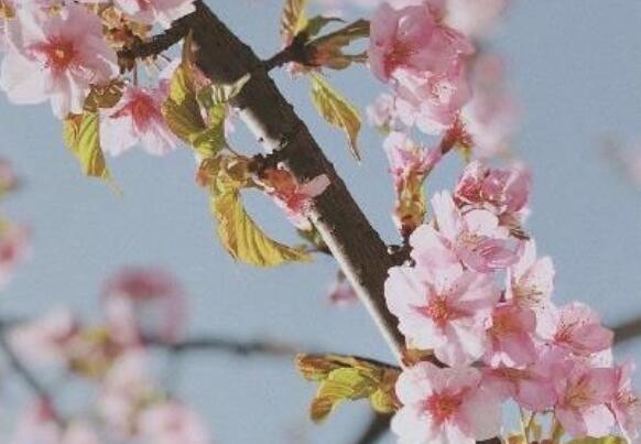 表达对某人不满的句子文案