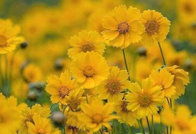 一句话气死不讲理的人