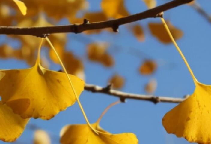 形容时间过得快的开头