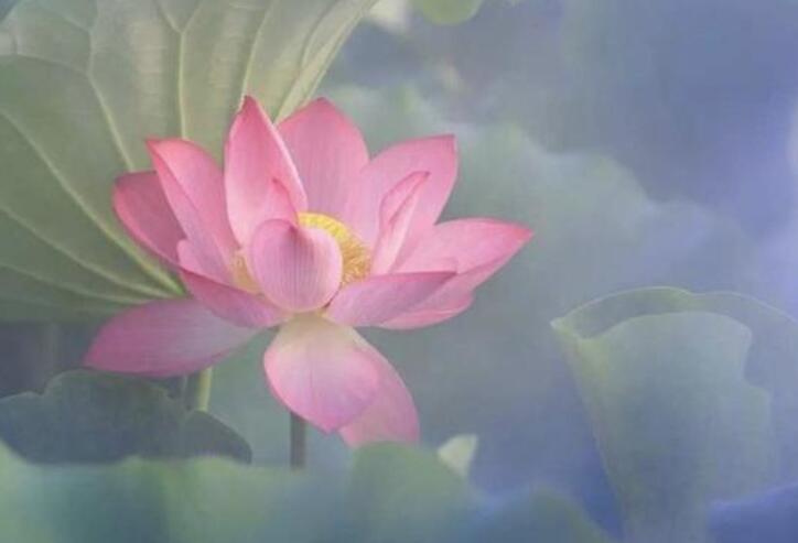 让自己心静沉稳的句子文案