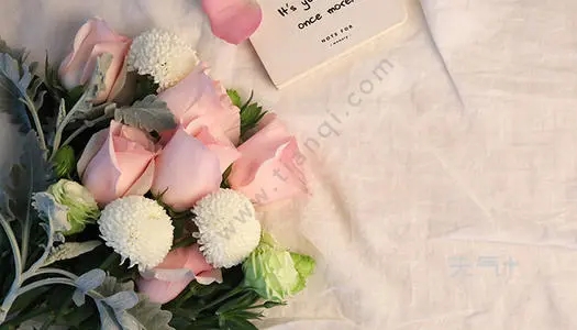 姐妹生日祝福语一句话