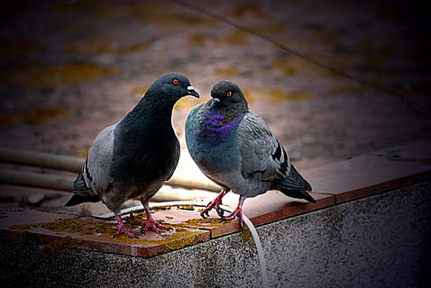 爱的名言名句文案大全