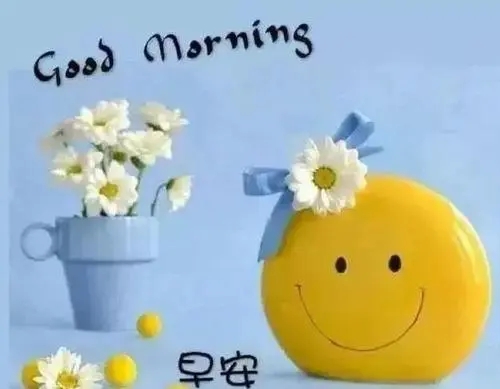 简单问候早安的句子文案