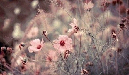 幸福的经典语录文案