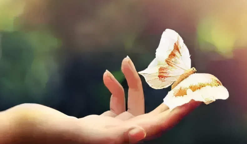 情感语录文案长篇