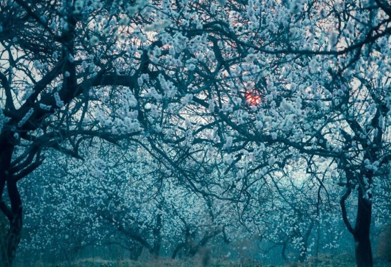 好词好句文案六年级摘抄