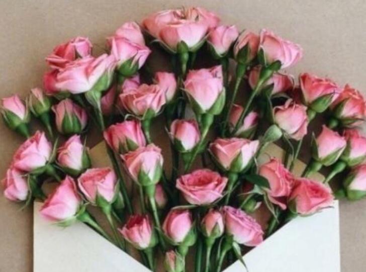 二月份适合发朋友圈的句子文案