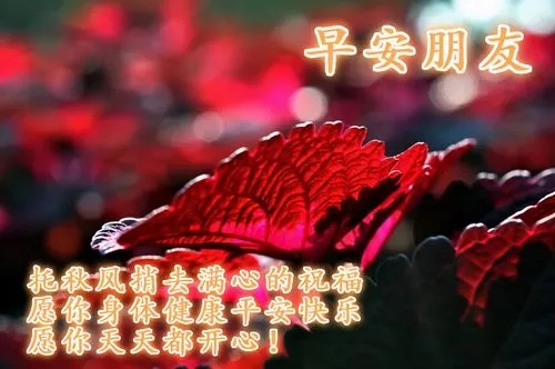 希望朋友平安祝福语
