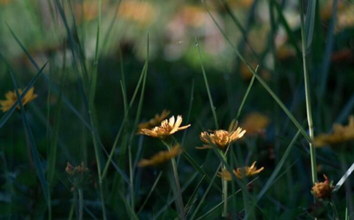 具有鼓励性的话