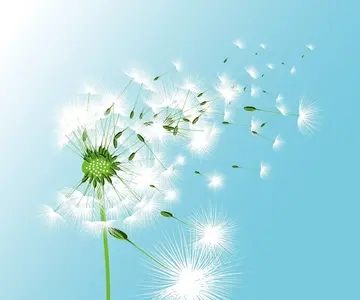 激励正能量的句子文案经典短句