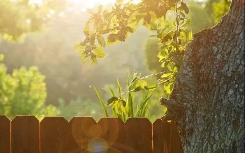 调整好心情经典句子文案