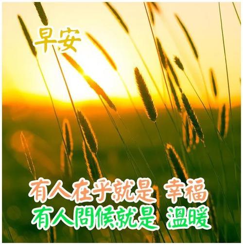 问候语及关心话