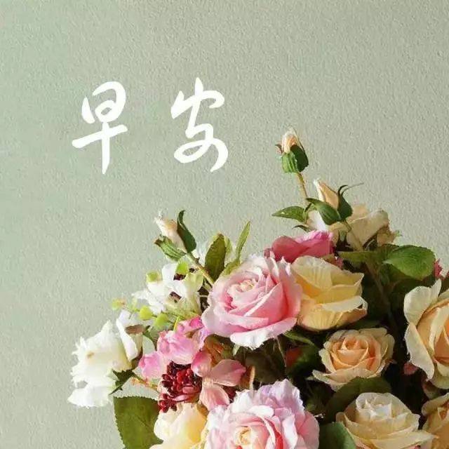 星期一优美早安心语