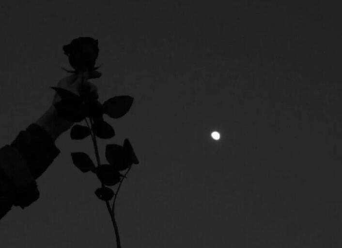 关于真实的句子文案