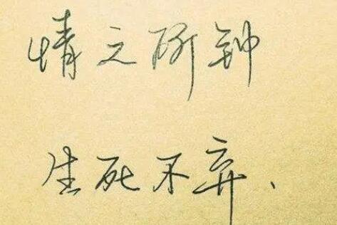 散文每句美文摘抄