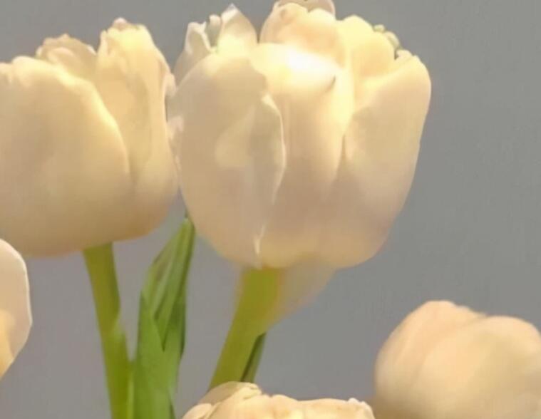 可爱仙气句子文案